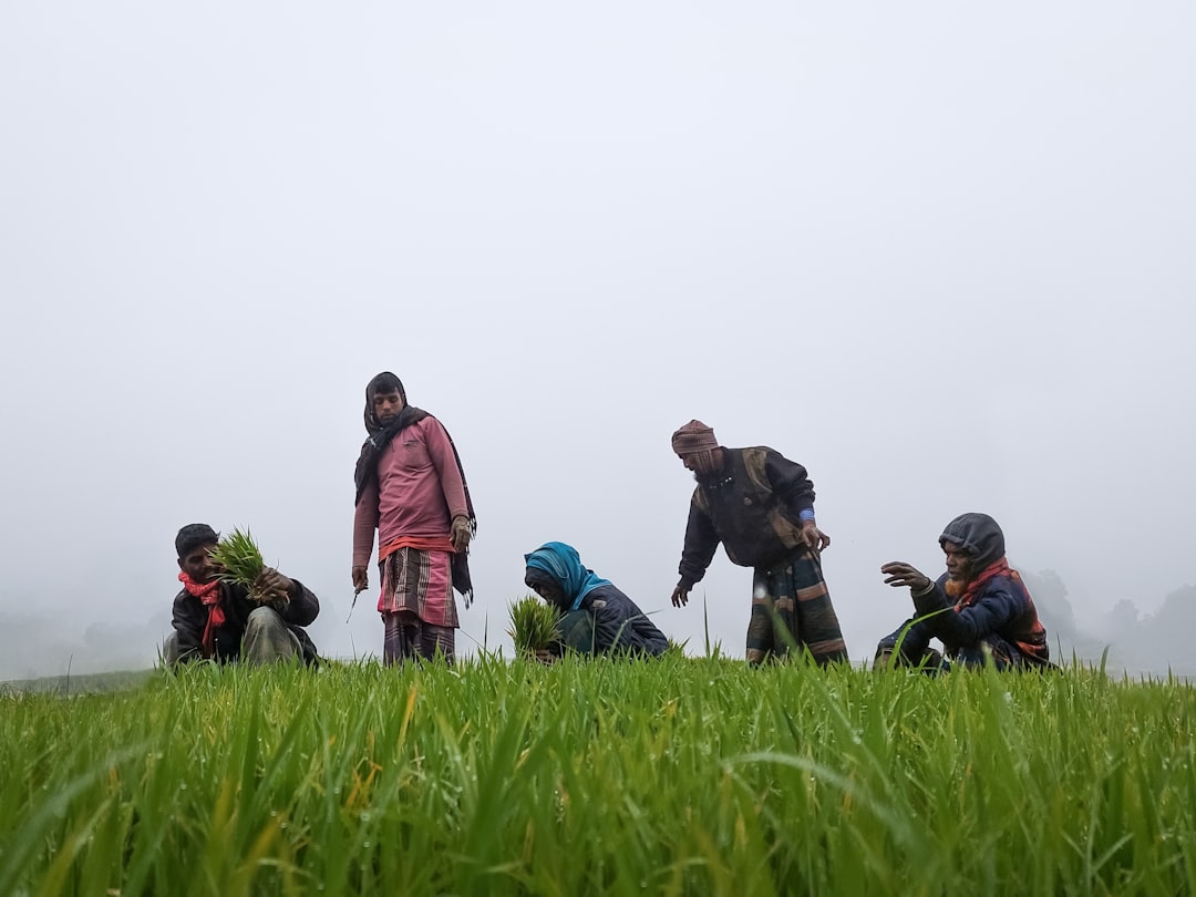 Five farmers working in a foggy wetland on a winter morning in rural Bangladesh — two standing and three sitting in the field